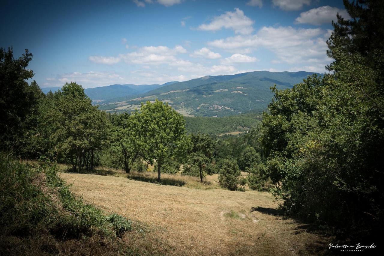 Вилла Castello Di Sarna Кьюзи-делла-Верна Экстерьер фото