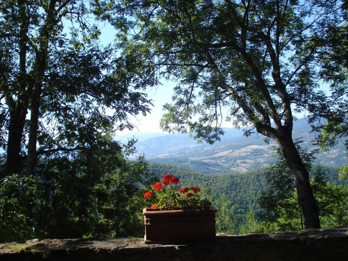 Вилла Castello Di Sarna Кьюзи-делла-Верна Экстерьер фото